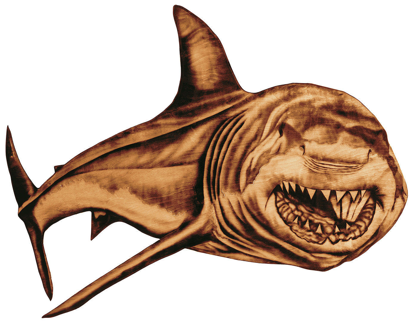 Great White Shark Reproduction