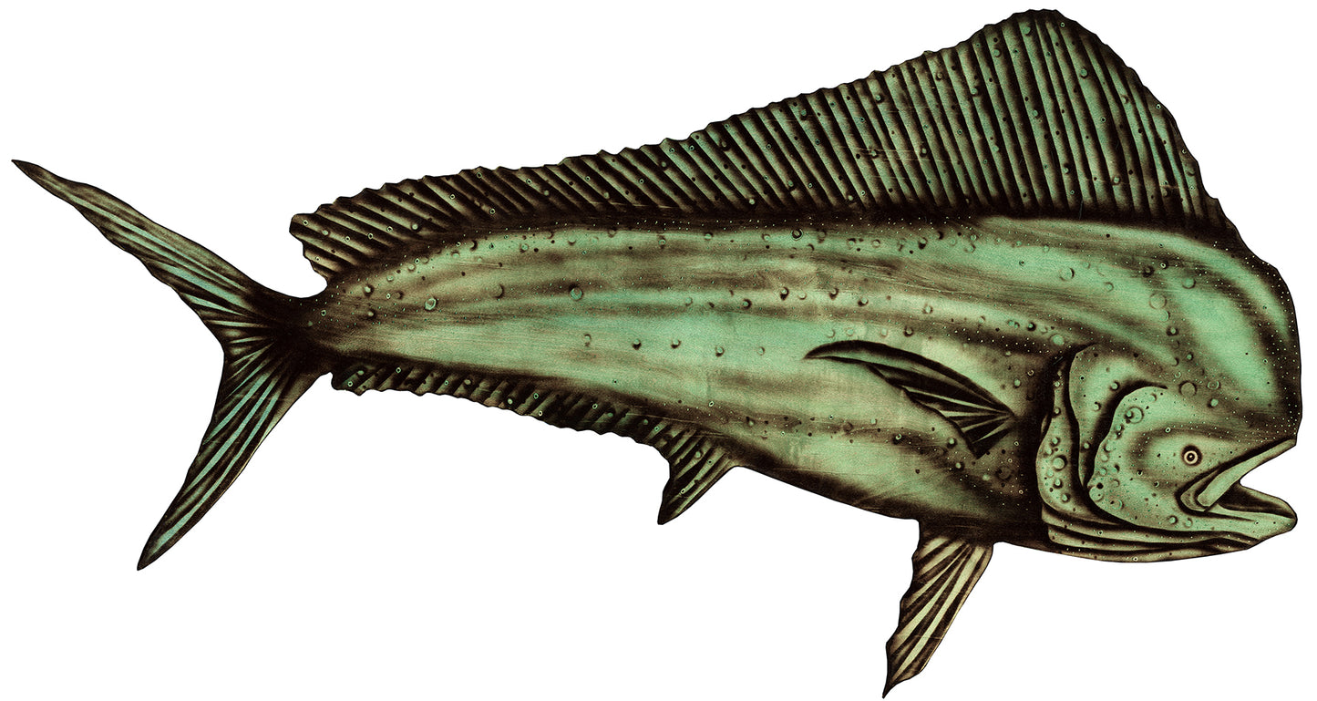 Mahi Reproduction