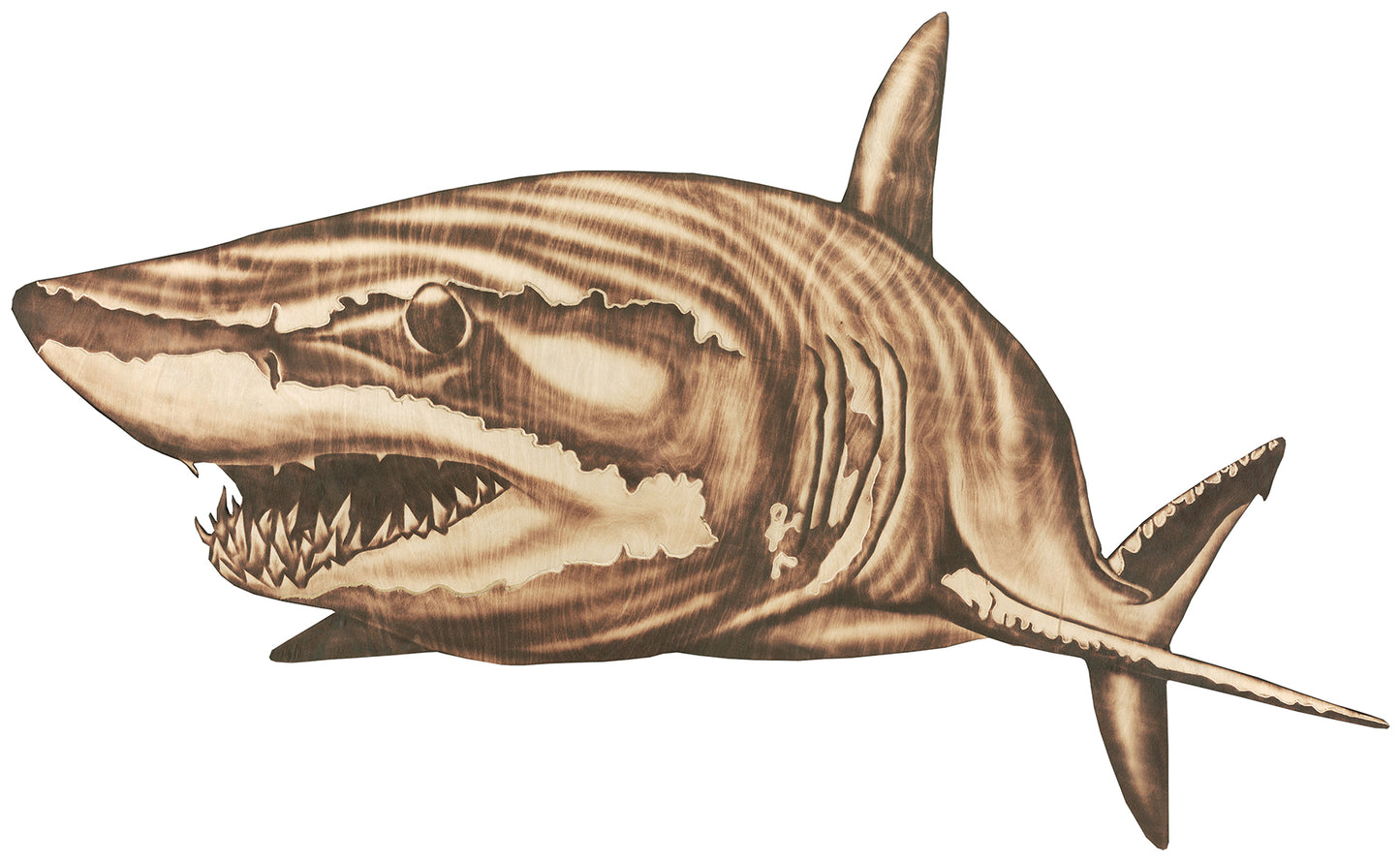 Mako Shark
