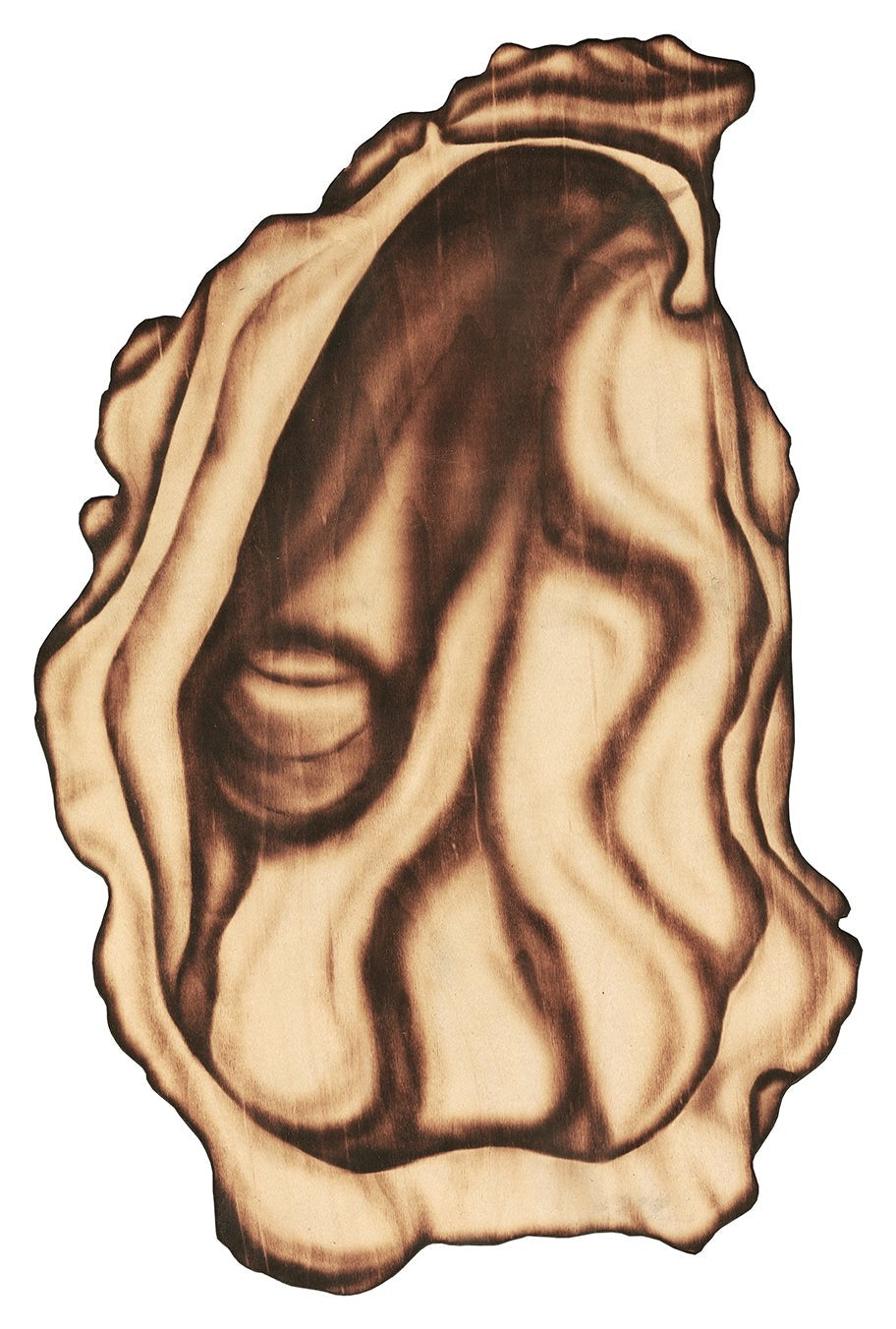 Oyster Set Reproduction