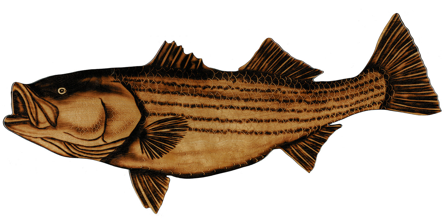 Striper Reproduction
