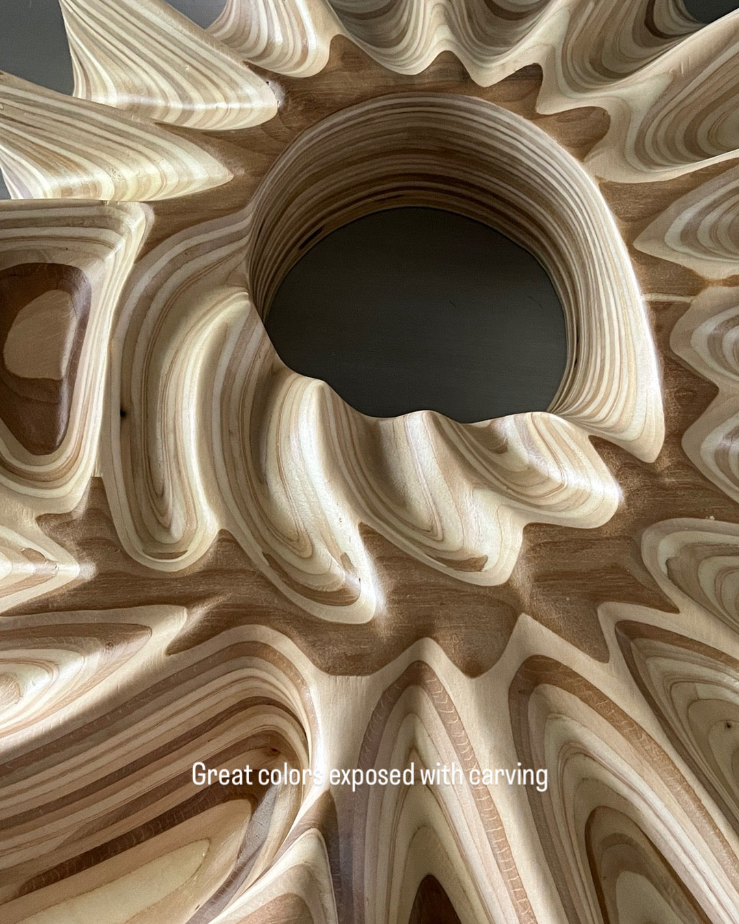 Abstract Nautilus Shell Hand Carved