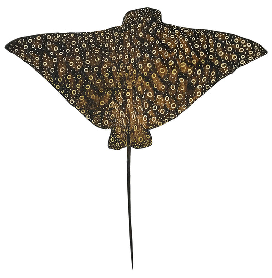Eagle Ray Reproduction