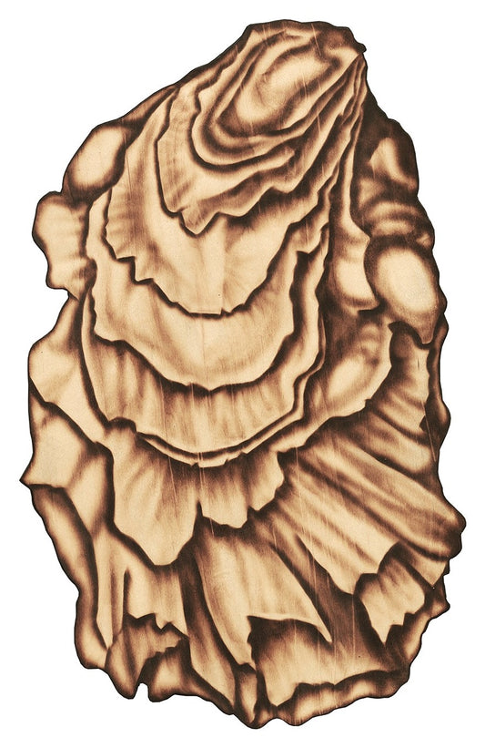 Oyster Set Reproduction