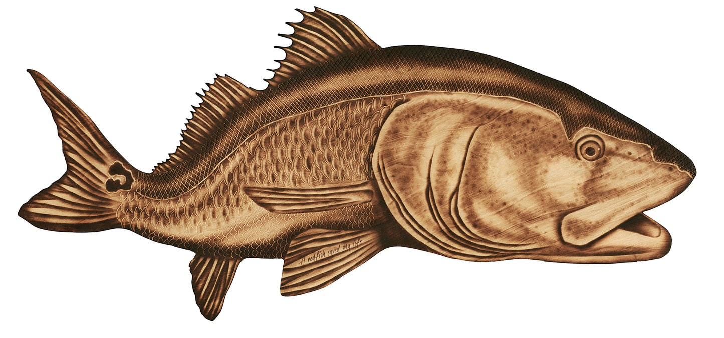 Red Drum Reproduction