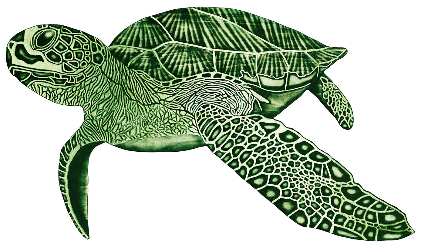 Turtle Reproduction